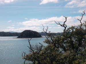 BayOfIslandsPaihia_