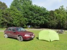 CoromandelForestWangaiterengaCampground