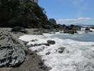 CoromandelWalkwayPoleyBay