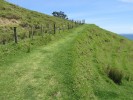 CoromandelWalkwayWanderweg