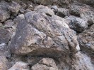 FantailBayFels