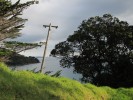 FantailBayTelegraphenmast