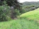 FantailBayWanderweg
