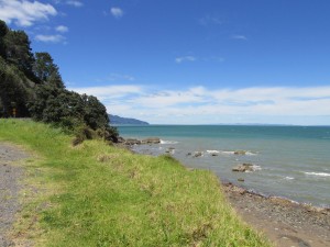 IMG_0119_
