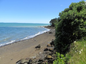 IMG_0123_