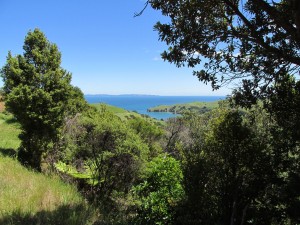 IMG_0132_
