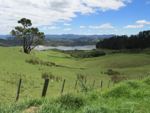 IMG_0134_