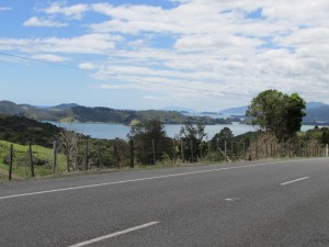 IMG_0137_