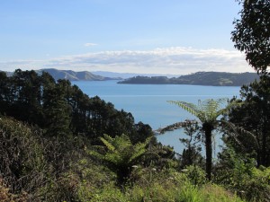 KauriWalkMeerblick