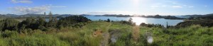 KauriWalkPano2