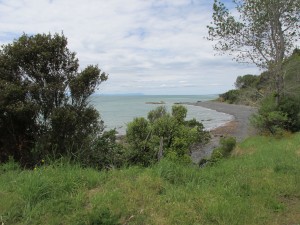 Omana-Thames_Strand2_