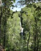 WentworthWasserfall