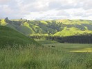 Landschaft_