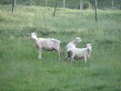 NackteTatsachen_