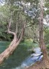 TaraweraRiver_